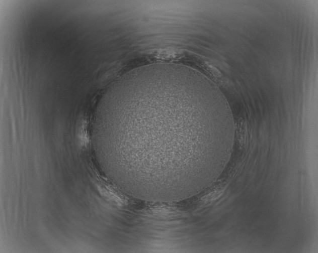 X0000073520962200608071117