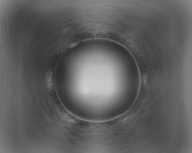 X0000073520963200608071117