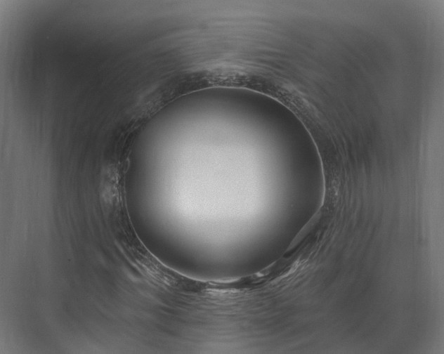 X0000073520964200608071117