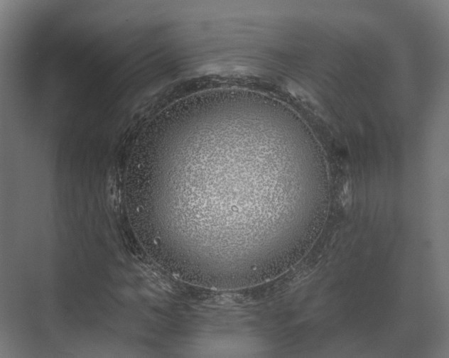 X0000073520966200608071117