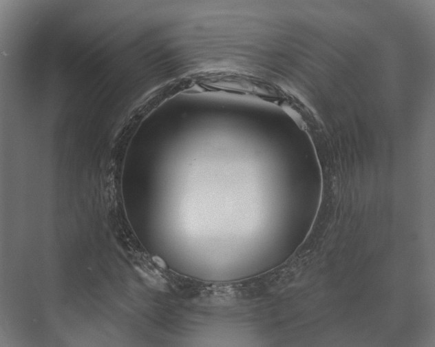 X0000073520968200608071117