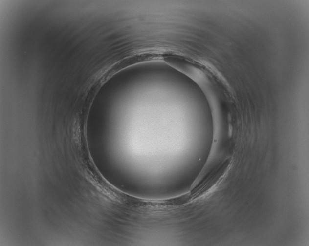 X0000073520969200608071117