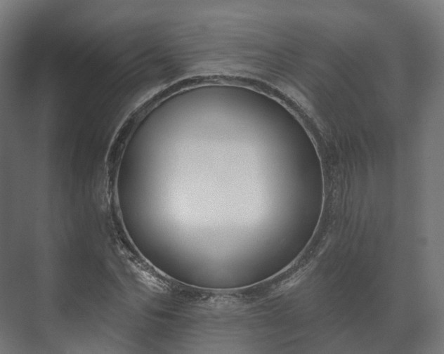 X0000073520974200608071117