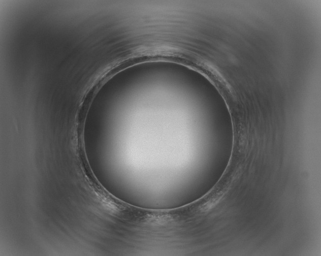 X0000073520978200608071117
