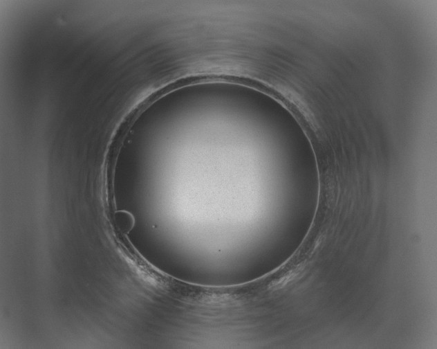 X0000073520982200608071117