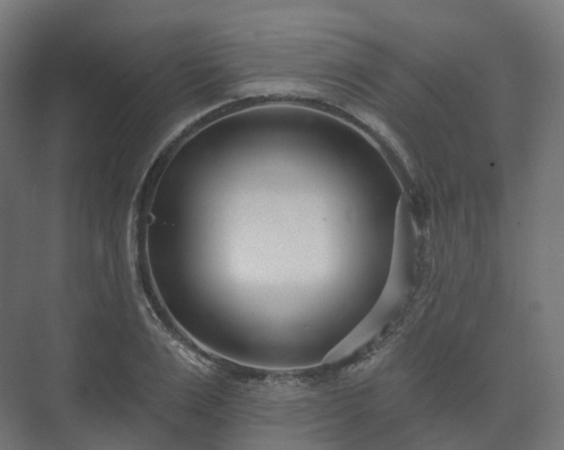 X0000073520983200608071117