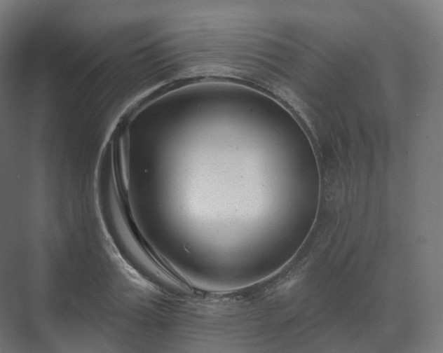 X0000073520987200608071117