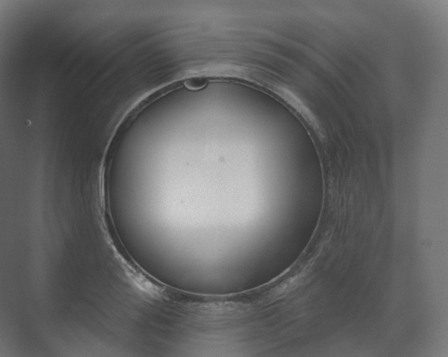 X0000073520988200608071117