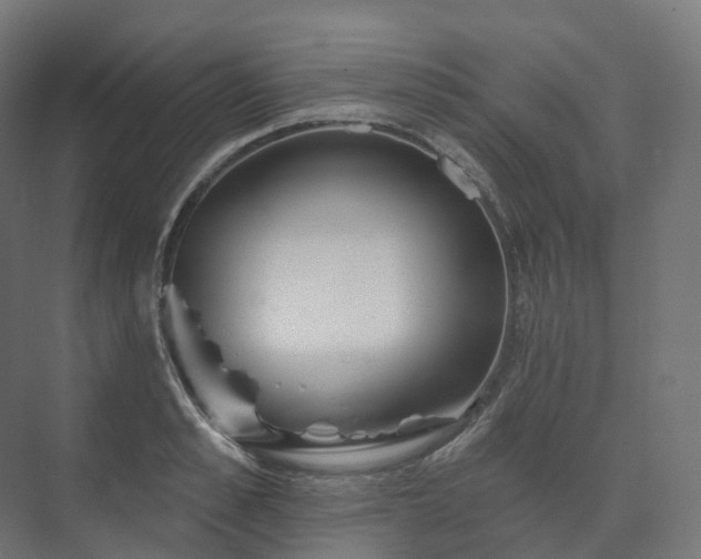 X0000073520989200608071117
