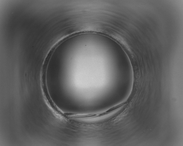 X0000073520991200608071117