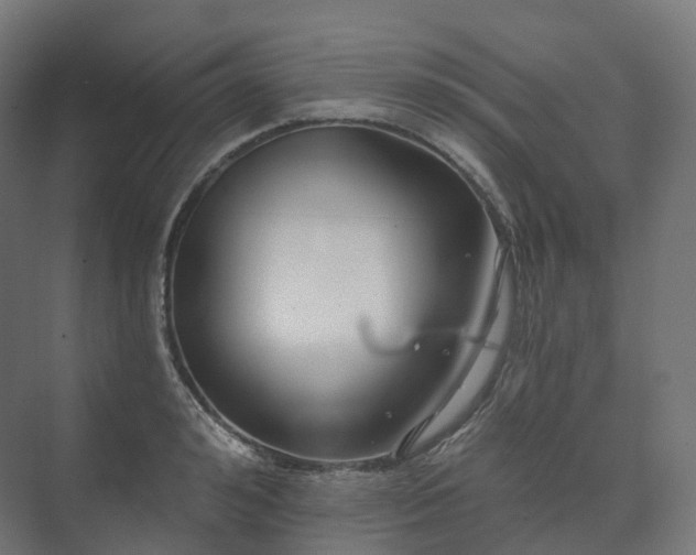 X0000073520992200608071117