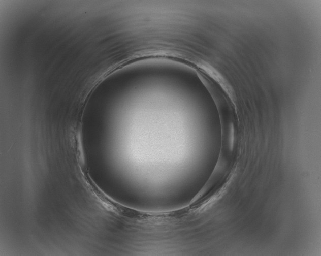 X0000073520993200608071117