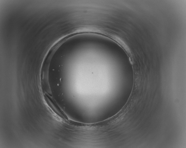 X0000073520996200608071117