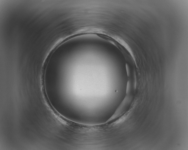 X0000073520997200608071117