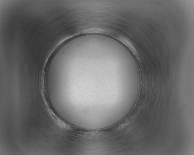 X0000073521000200608071117