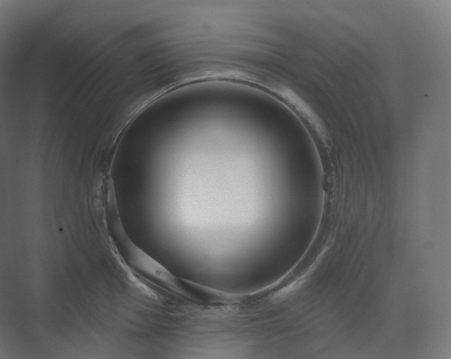 X0000073521001200608071117