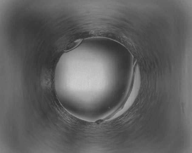 X0000073521012200608071116