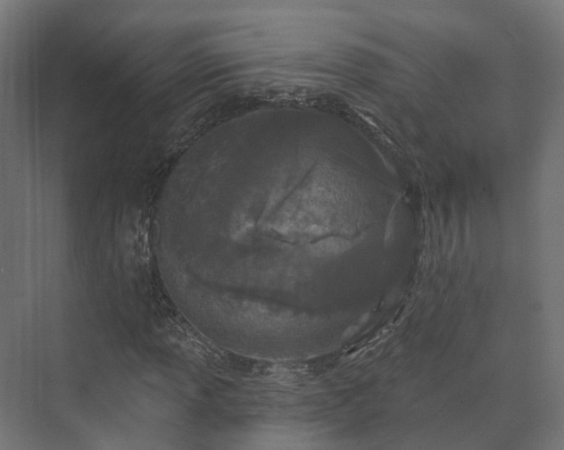 X0000073521013200608071116
