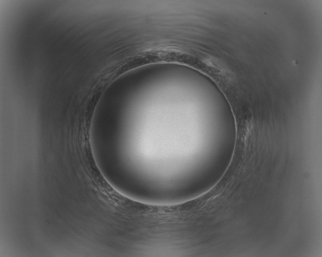 X0000073521014200608071116