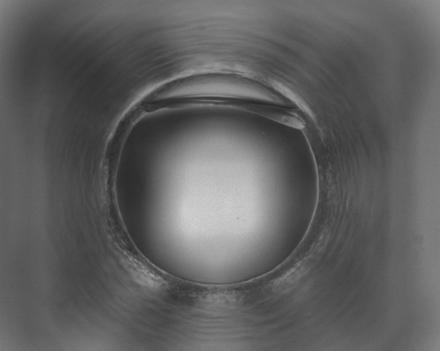 X0000073521021200608071116