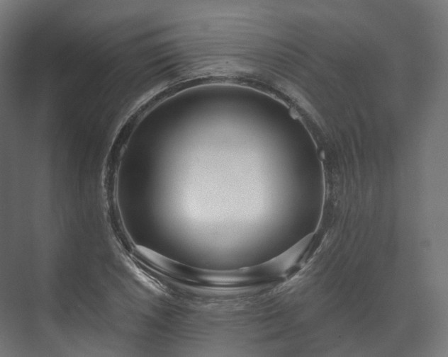 X0000073521026200608071116