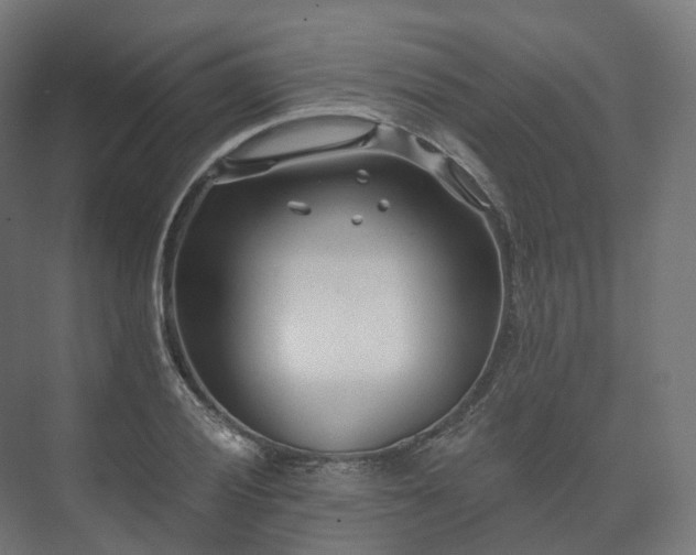 X0000073521028200608071116