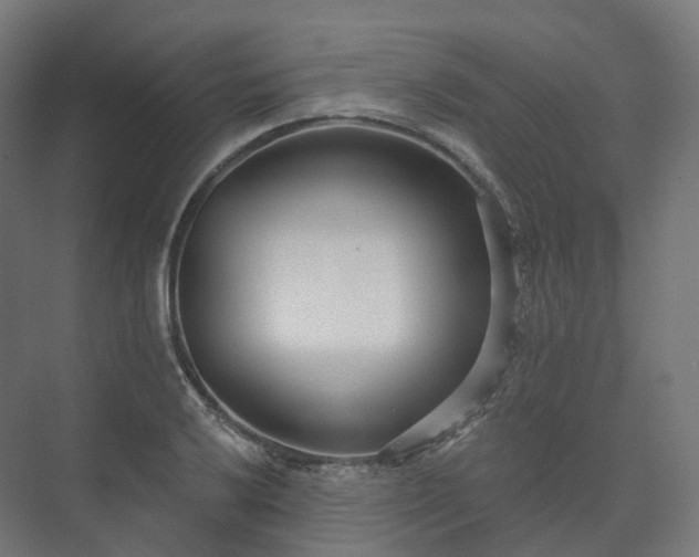 X0000073521032200608071116