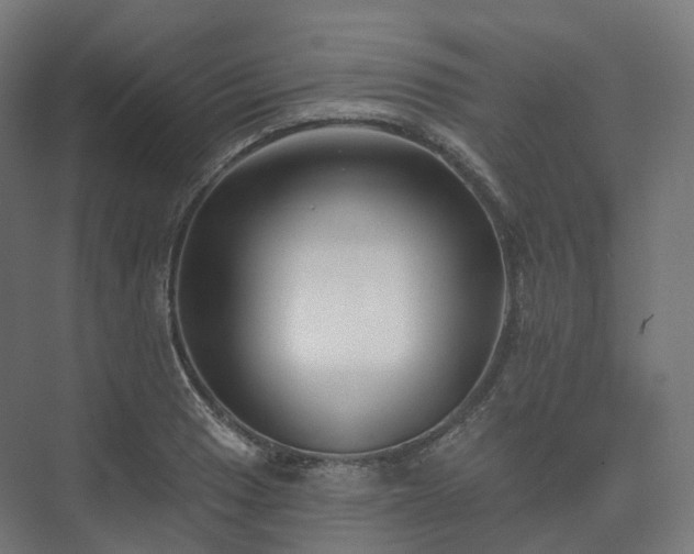 X0000073521033200608071116