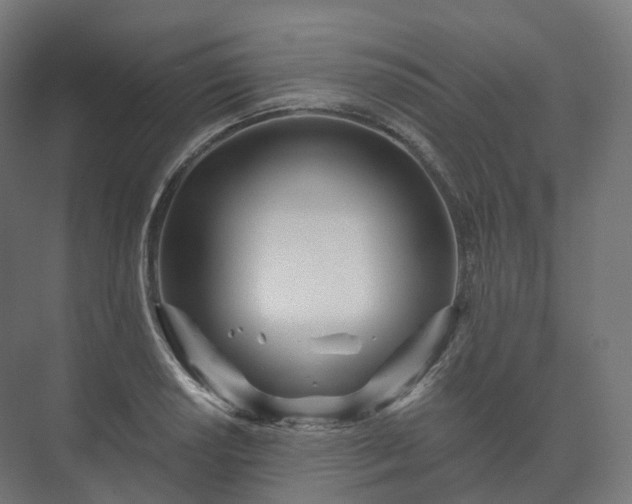 X0000073521034200608071116