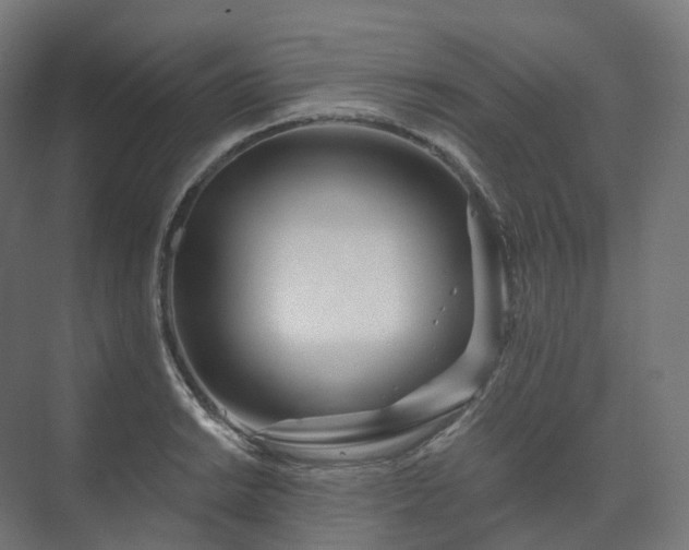 X0000073521038200608071116