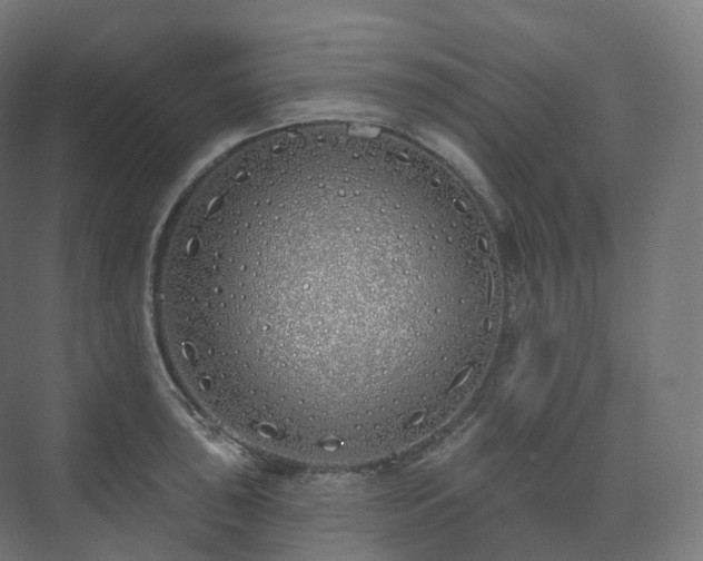 X0000073521043200608071116