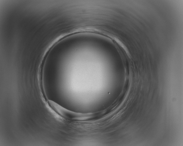 X0000073521054200608071116