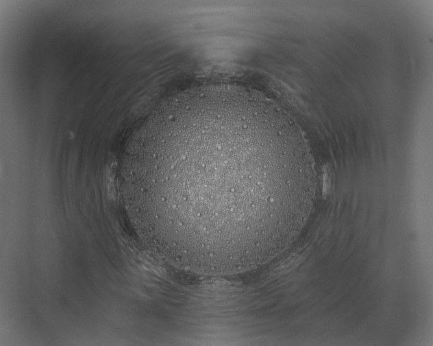 X0000073521059200608071116