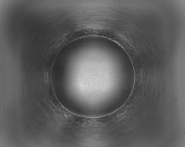 X0000073521061200608071116