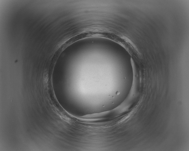 X0000073521065200608071116