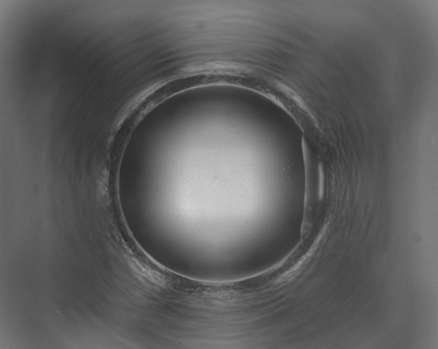 X0000073521066200608071116