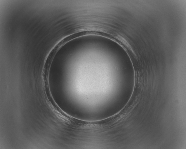 X0000073521068200608071115