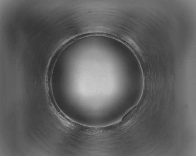 X0000073521072200608071115
