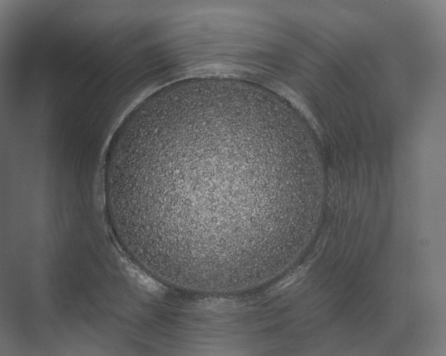 X0000073521075200608071115