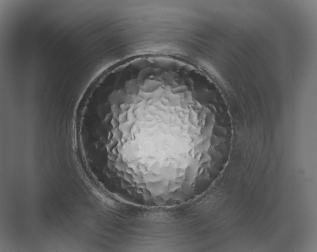 X0000073521079200608071115