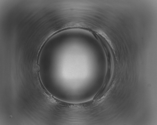 X0000073521089200608071115