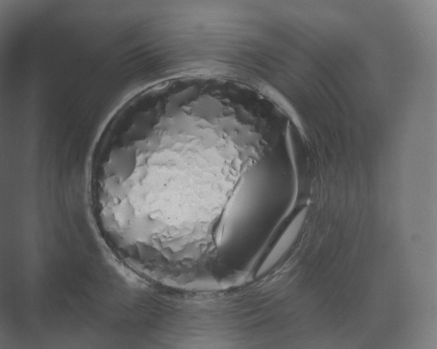 X0000073521099200608071115