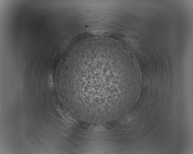 X0000073521106200608071114