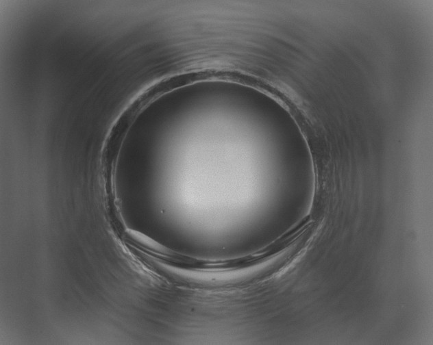 X0000073521118200608071114
