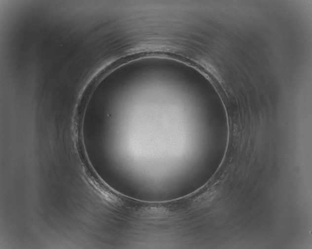 X0000073521119200608071114