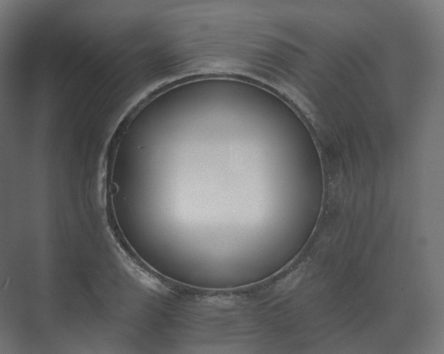 X0000073521126200608071114