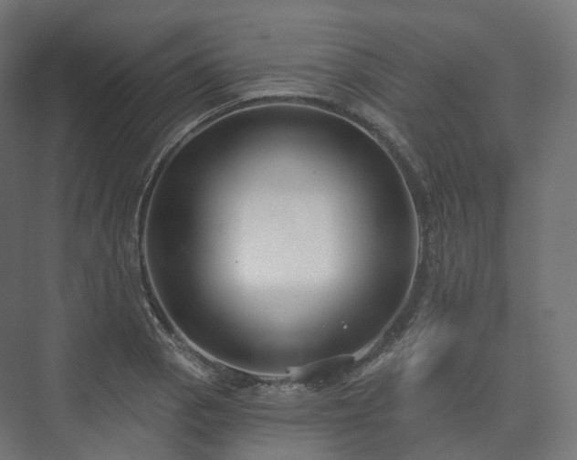 X0000073521129200608071114