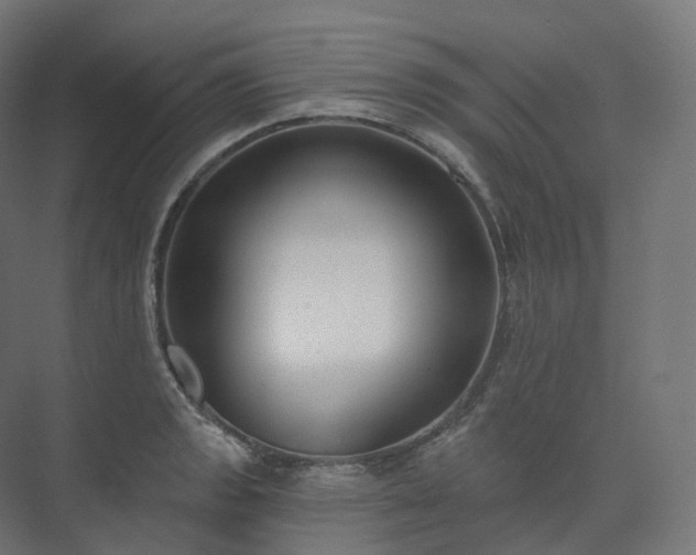 X0000073521133200608071115