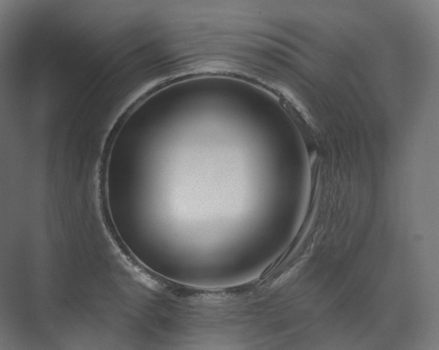X0000073521134200608071115