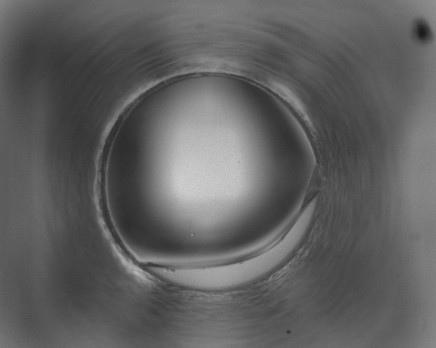 X0000073521136200608071115